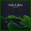 Sonidos de la Selva - Sonido de Lluvia de la Selva